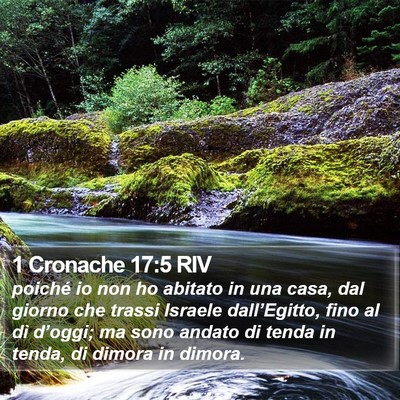 1 Cronache 17:5 RIV Bible Verse Image