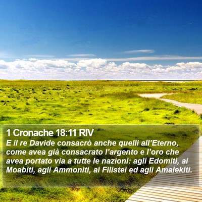 1 Cronache 18:11 RIV Bible Verse Image