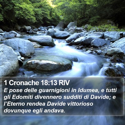 1 Cronache 18:13 RIV Bible Verse Image