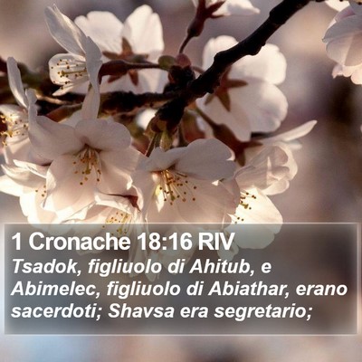 1 Cronache 18:16 RIV Bible Verse Image