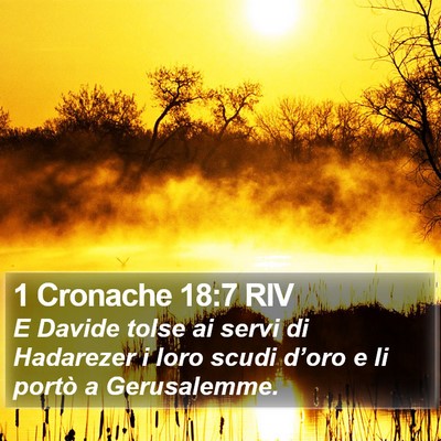 1 Cronache 18:7 RIV Bible Verse Image