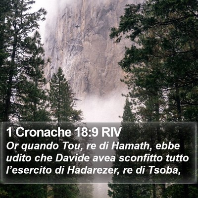 1 Cronache 18:9 RIV Bible Verse Image