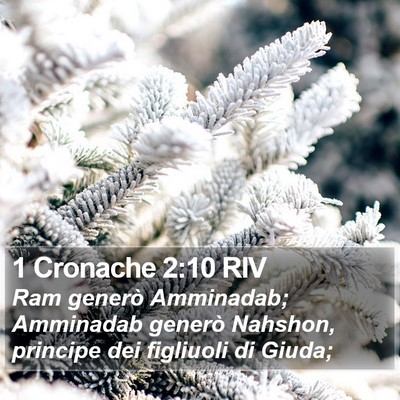 1 Cronache 2:10 RIV Bible Verse Image