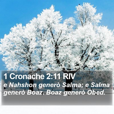 1 Cronache 2:11 RIV Bible Verse Image