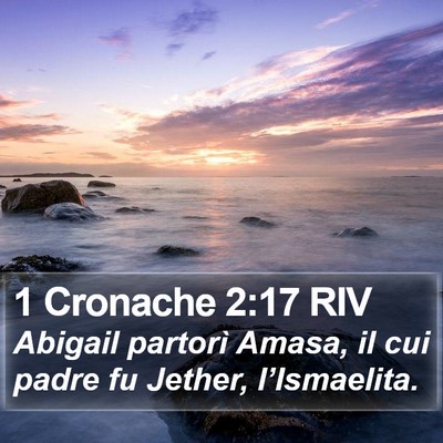 1 Cronache 2:17 RIV Bible Verse Image