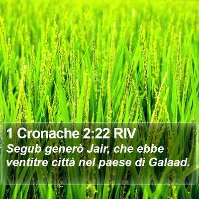 1 Cronache 2:22 RIV Bible Verse Image