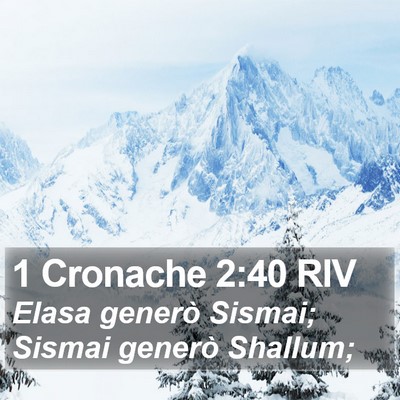 1 Cronache 2:40 RIV Bible Verse Image