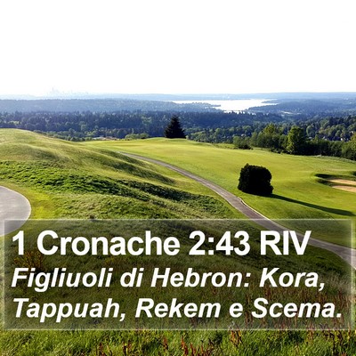 1 Cronache 2:43 RIV Bible Verse Image