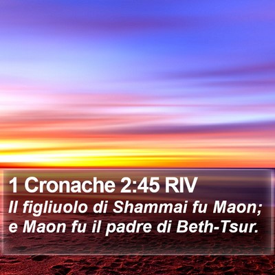 1 Cronache 2:45 RIV Bible Verse Image