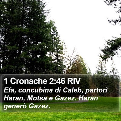 1 Cronache 2:46 RIV Bible Verse Image