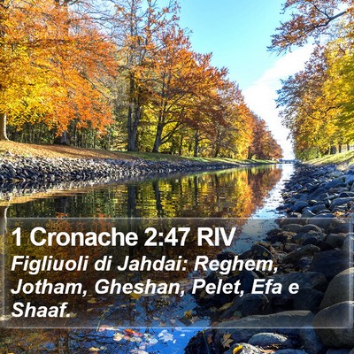 1 Cronache 2:47 RIV Bible Verse Image