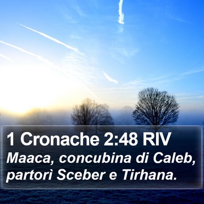 1 Cronache 2:48 RIV Bible Verse Image