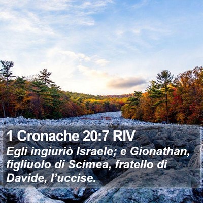 1 Cronache 20:7 RIV Bible Verse Image