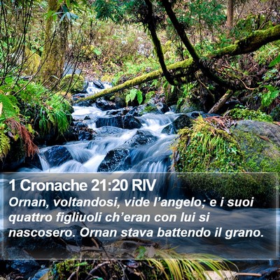 1 Cronache 21:20 RIV Bible Verse Image