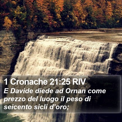 1 Cronache 21:25 RIV Bible Verse Image