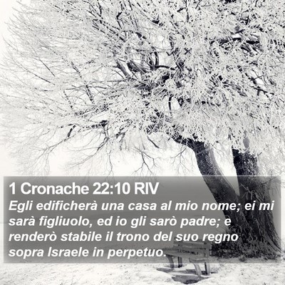 1 Cronache 22:10 RIV Bible Verse Image