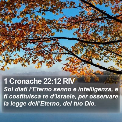 1 Cronache 22:12 RIV Bible Verse Image