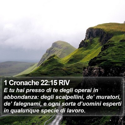 1 Cronache 22:15 RIV Bible Verse Image