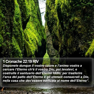 1 Cronache 22:19 RIV Bible Verse Image