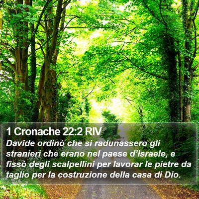 1 Cronache 22:2 RIV Bible Verse Image