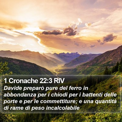1 Cronache 22:3 RIV Bible Verse Image