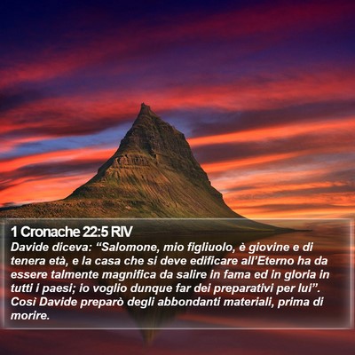 1 Cronache 22:5 RIV Bible Verse Image