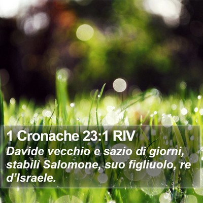 1 Cronache 23:1 RIV Bible Verse Image