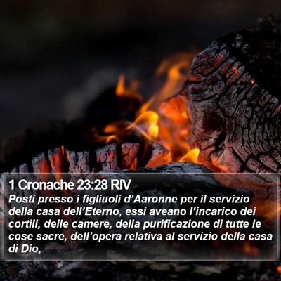 1 Cronache 23:28 RIV Bible Verse Image