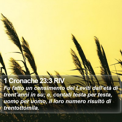 1 Cronache 23:3 RIV Bible Verse Image