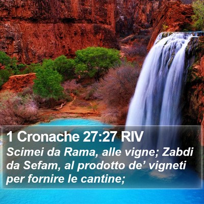 1 Cronache 27:27 RIV Bible Verse Image