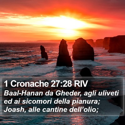 1 Cronache 27:28 RIV Bible Verse Image