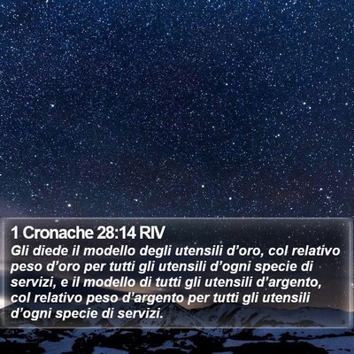 1 Cronache 28:14 RIV Bible Verse Image