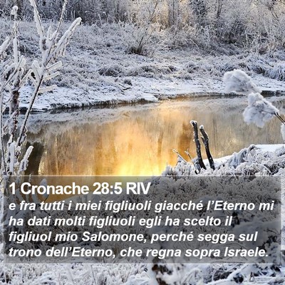 1 Cronache 28:5 RIV Bible Verse Image
