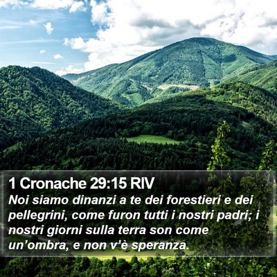 1 Cronache 29:15 RIV Bible Verse Image