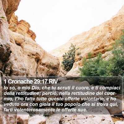 1 Cronache 29:17 RIV Bible Verse Image