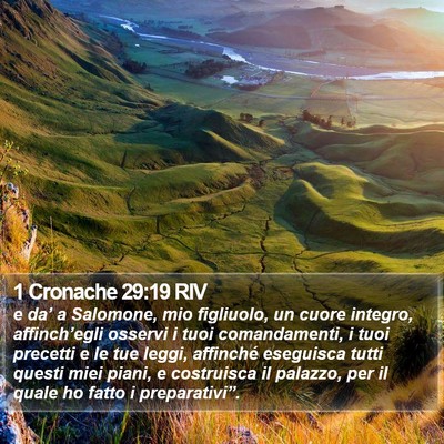 1 Cronache 29:19 RIV Bible Verse Image