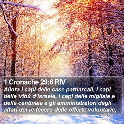 1 Cronache 29:6 RIV Bible Verse Image