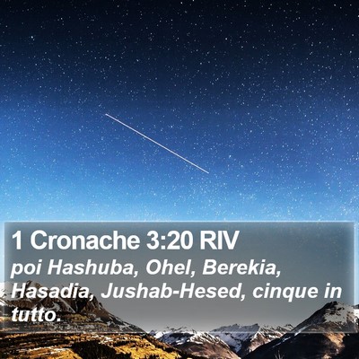 1 Cronache 3:20 RIV Bible Verse Image