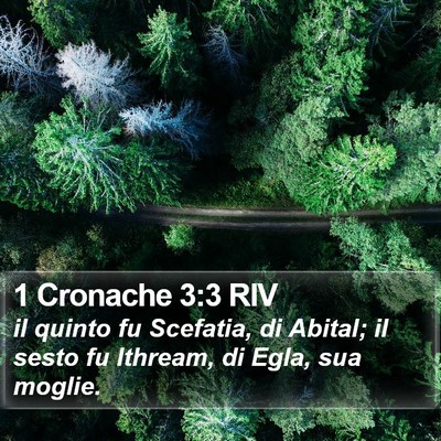 1 Cronache 3:3 RIV Bible Verse Image