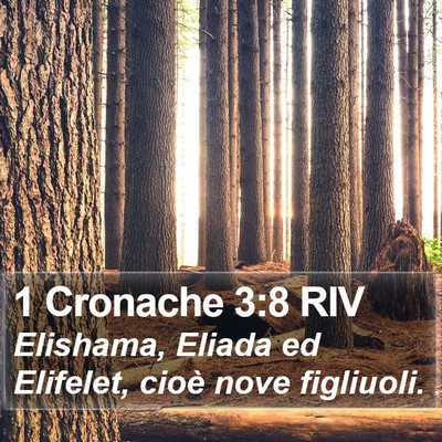 1 Cronache 3:8 RIV Bible Verse Image