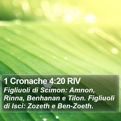 1 Cronache 4:20 RIV Bible Verse Image