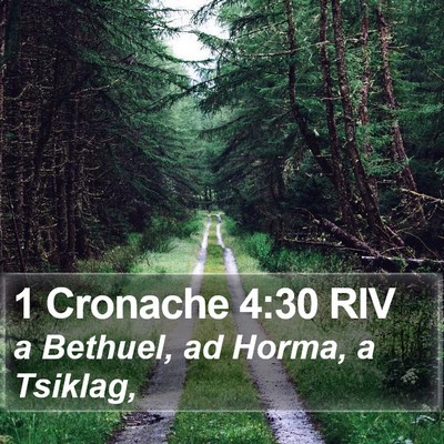 1 Cronache 4:30 RIV Bible Verse Image