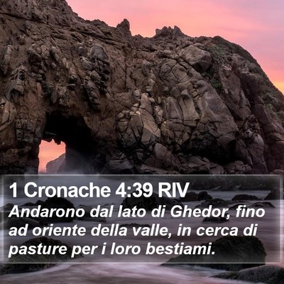 1 Cronache 4:39 RIV Bible Verse Image