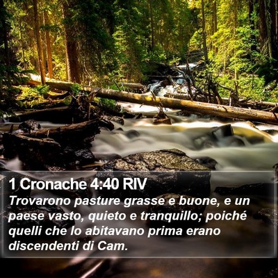 1 Cronache 4:40 RIV Bible Verse Image