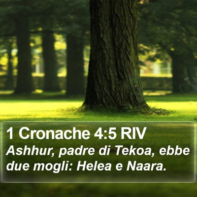 1 Cronache 4:5 RIV Bible Verse Image