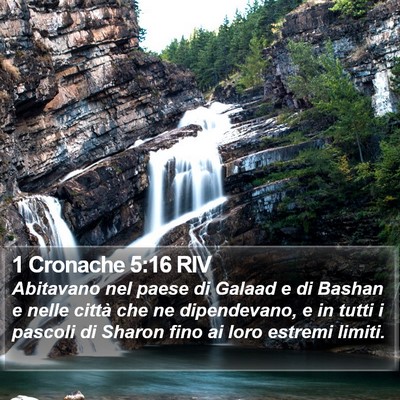 1 Cronache 5:16 RIV Bible Verse Image