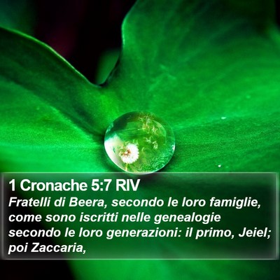 1 Cronache 5:7 RIV Bible Verse Image