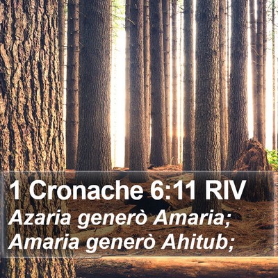 1 Cronache 6:11 RIV Bible Verse Image