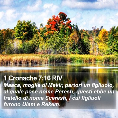 1 Cronache 7:16 RIV Bible Verse Image