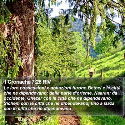 1 Cronache 7:28 RIV Bible Verse Image